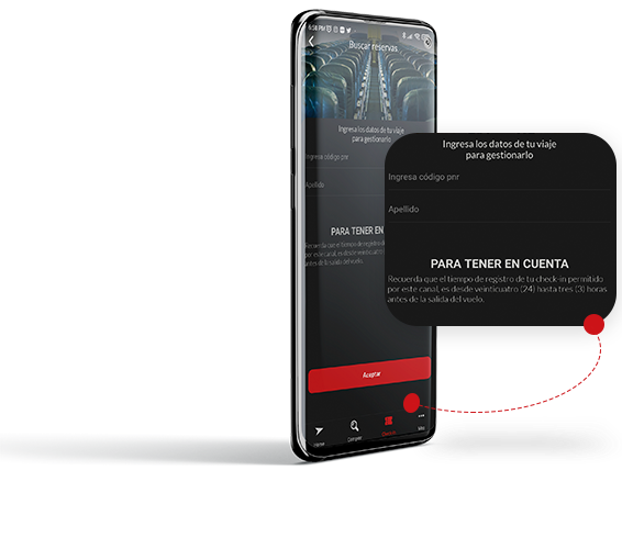 Web check-in y boarding pass en la app Avior
