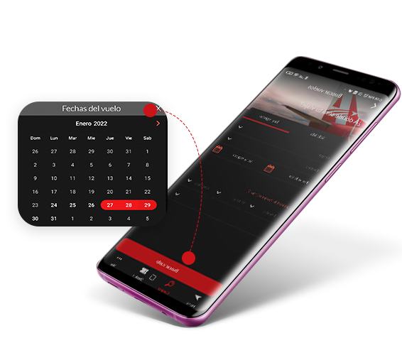 Chequea itinerarios Avior en la app