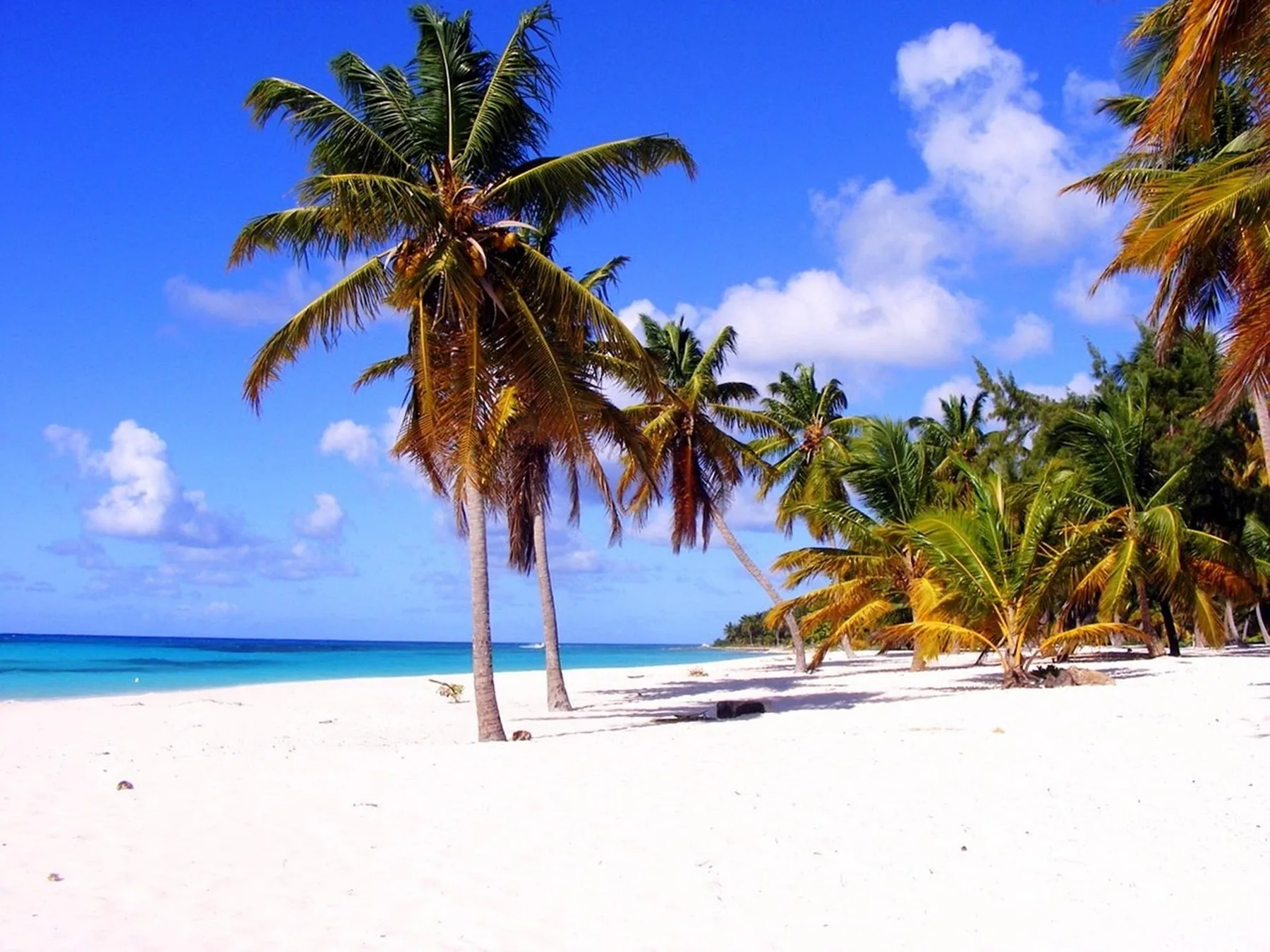 Playa tranquila en un destino de Avior Airlines